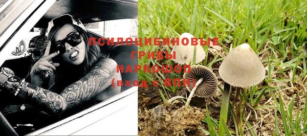 амф Лабытнанги