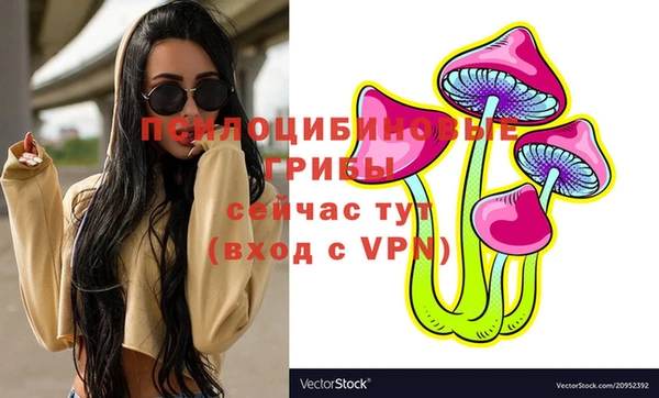 амф Лабытнанги