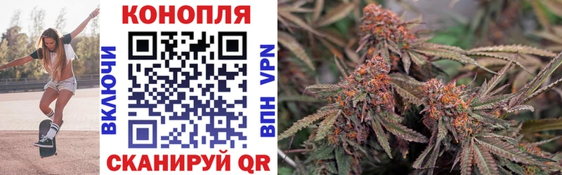 Купить закладки  Серов  Марихуана сатива 